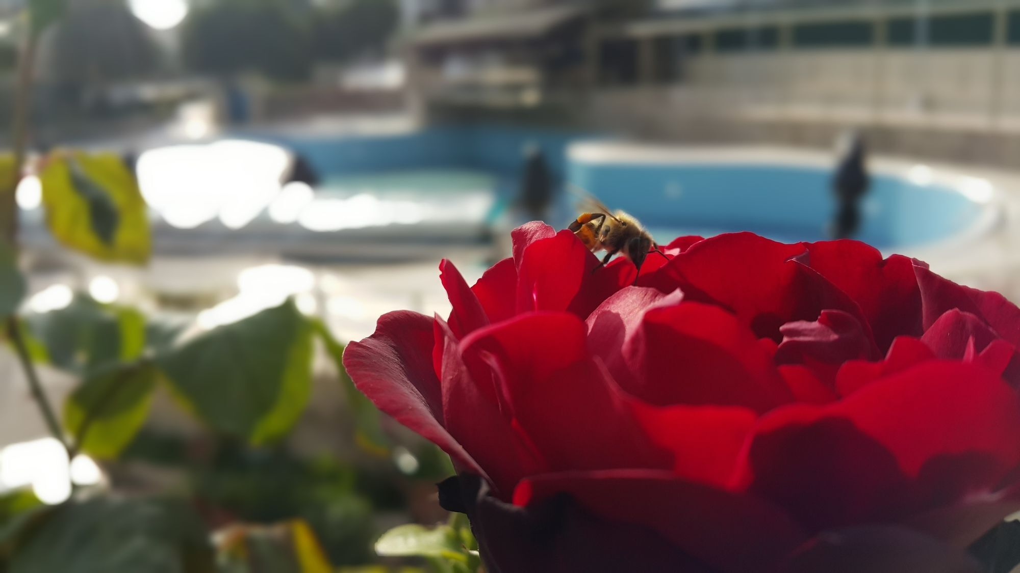 Tu Casa Gelidonya Hotel Kemer Eksteriør bilde
